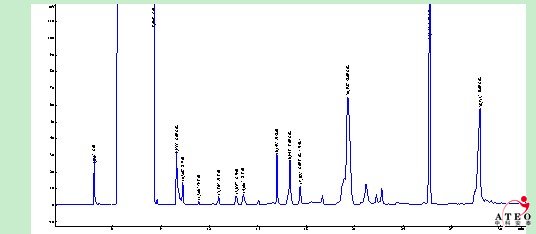 九粮天脉（甘肃滨河）