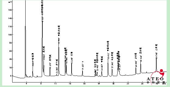 植物食品中有机磷分析（GBT500920）